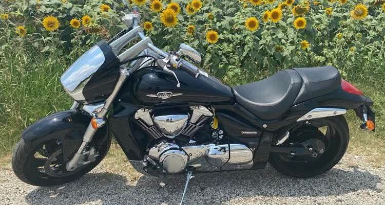 Suzuki Intruder in summer